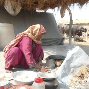 fdf67f1d-5e1e-41c1-b041-5b5ec25a291d